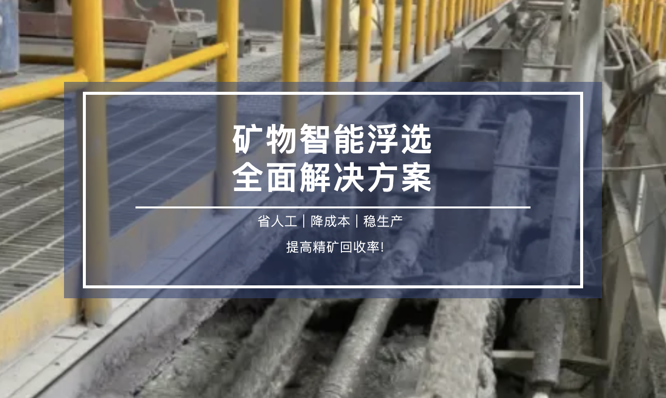 穩(wěn)定高效，降本增效，智能浮選全面解決方案！